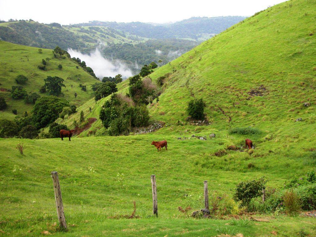 Top Of The Hill Maleny Exteriér fotografie