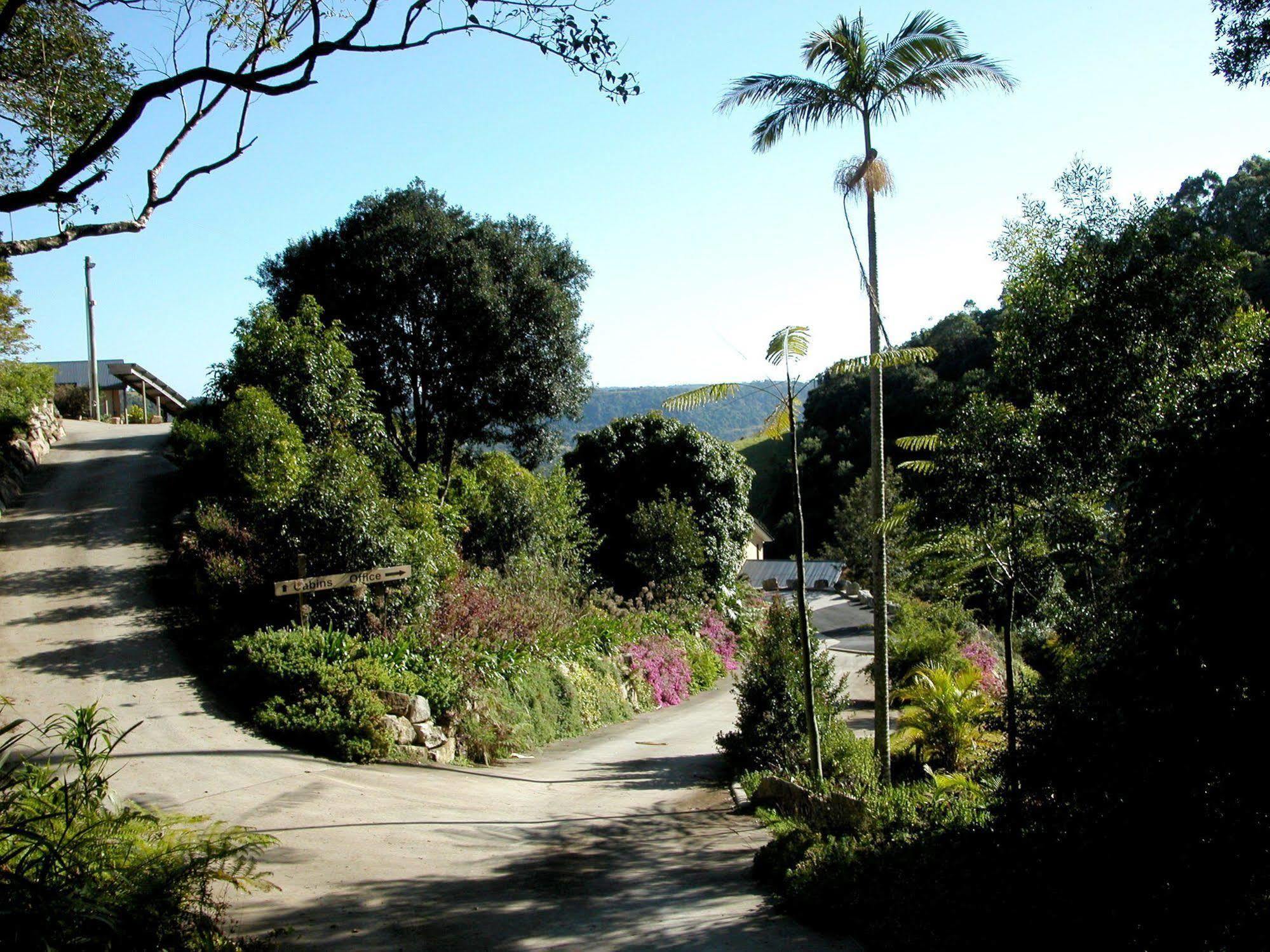 Top Of The Hill Maleny Exteriér fotografie